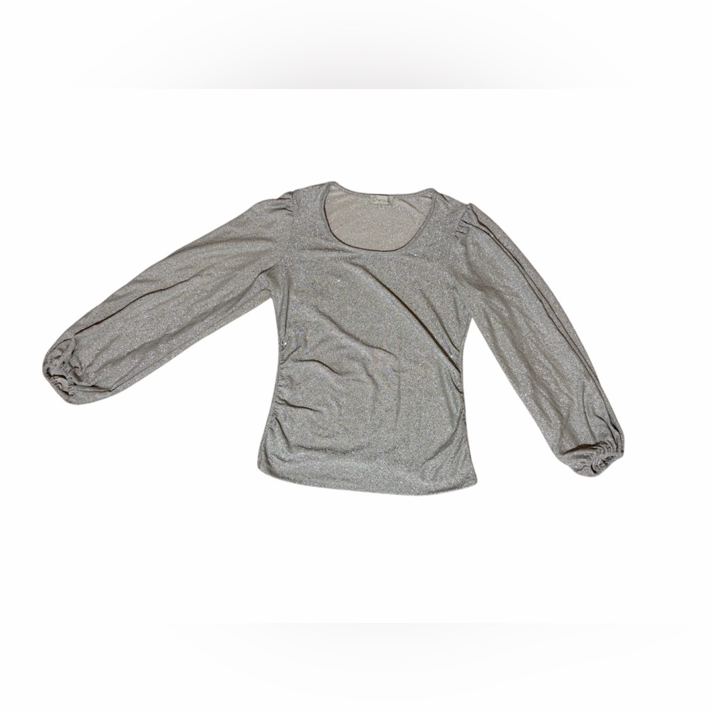 Chenault women silver long sleeve sparkle Blouse size Medium